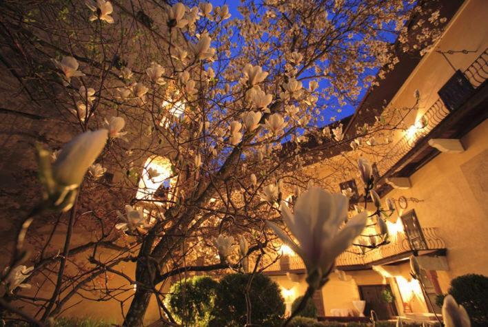 Schlosshotel Obermayerhofen Sebersdorf Exteriör bild